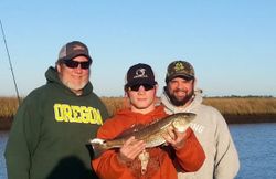 Red Fish Gulf of Mexico